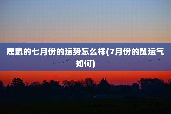 属鼠的七月份的运势怎么样(7月份的鼠运气如何)