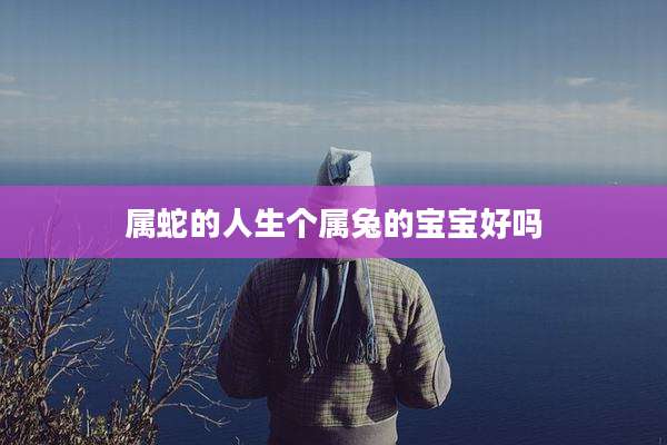 属蛇的人生个属兔的宝宝好吗