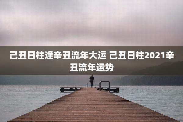 己丑日柱逢辛丑流年大运 己丑日柱2021辛丑流年运势