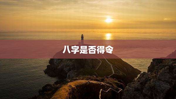 八字是否得令
