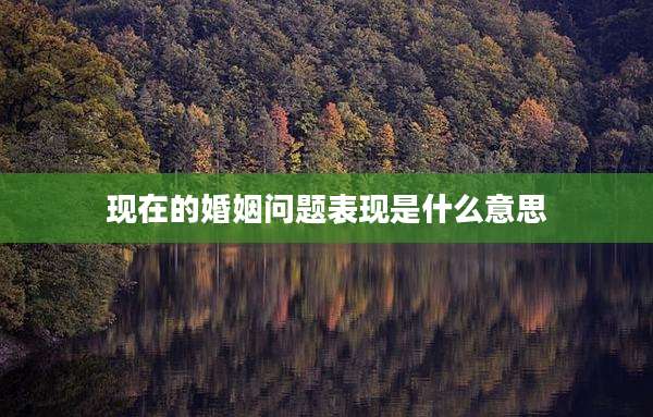 现在的婚姻问题表现是什么意思