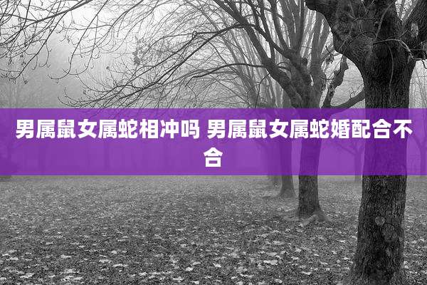 男属鼠女属蛇相冲吗 男属鼠女属蛇婚配合不合