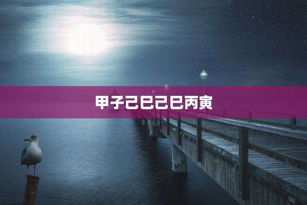 甲子己巳己巳丙寅
