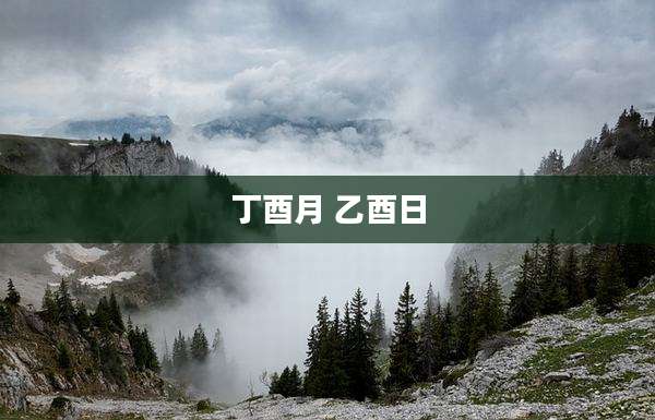 丁酉月 乙酉日