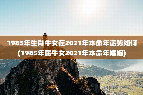 1985年生肖牛女在2021年本命年运势如何(1985年属牛女2021年本命年婚姻)