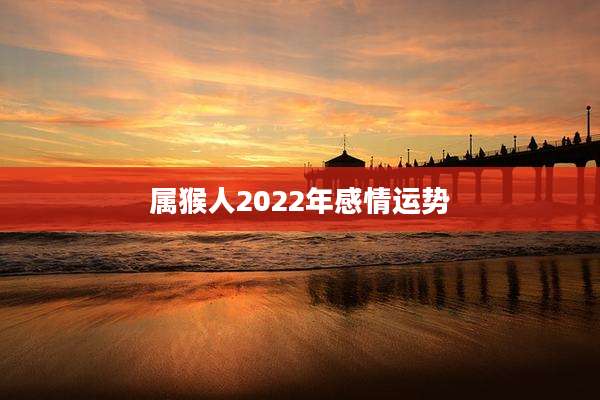 属猴人2022年感情运势