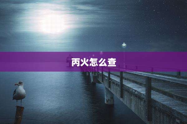 丙火怎么查
