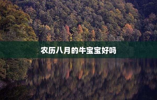农历八月的牛宝宝好吗