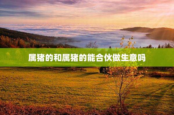 属猪的和属猪的能合伙做生意吗