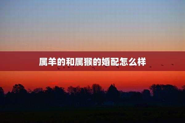属羊的和属猴的婚配怎么样