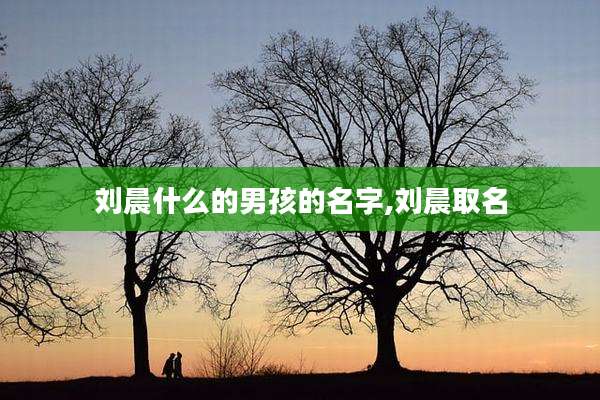 刘晨什么的男孩的名字,刘晨取名