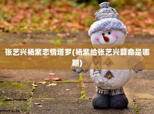 张艺兴杨紫恋情塔罗(杨紫给张艺兴算命是哪期)