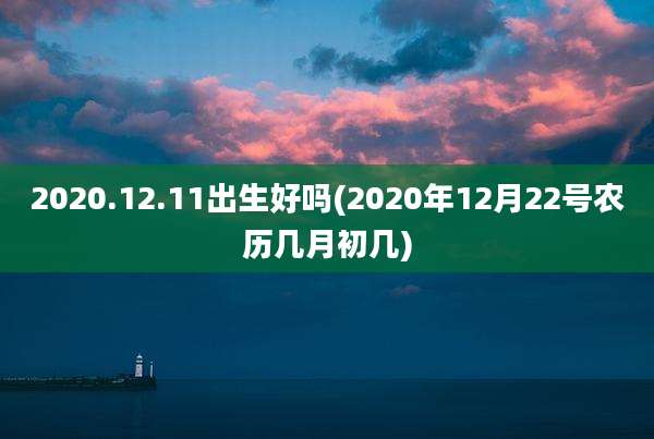 2020.12.11出生好吗(2020年12月22号农历几月初几)