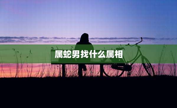 属蛇男找什么属相