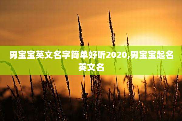 男宝宝英文名字简单好听2020,男宝宝起名英文名