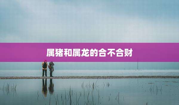 属猪和属龙的合不合财