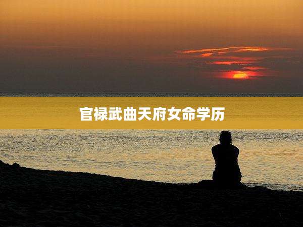 官禄武曲天府女命学历