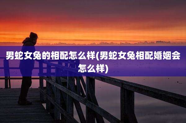 男蛇女兔的相配怎么样(男蛇女兔相配婚姻会怎么样)