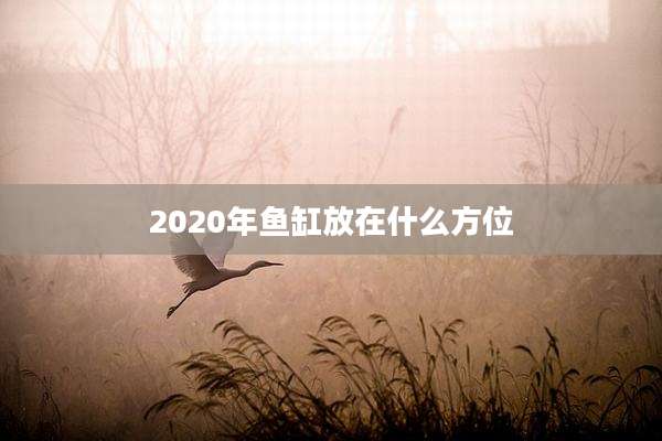 2020年鱼缸放在什么方位