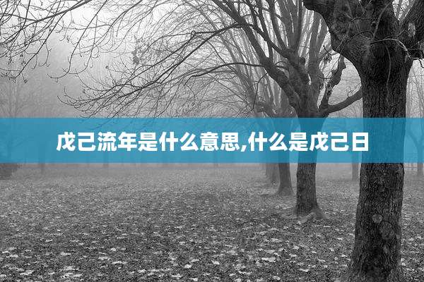 戊己流年是什么意思,什么是戊己日