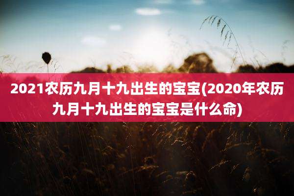 2021农历九月十九出生的宝宝(2020年农历九月十九出生的宝宝是什么命)