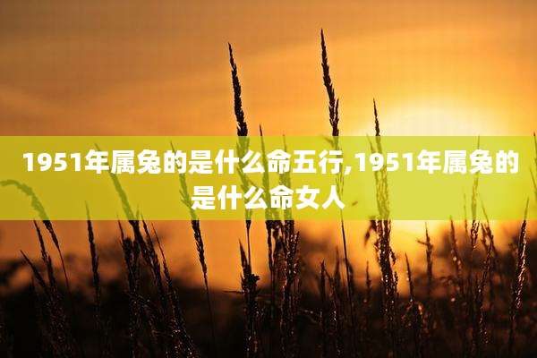 1951年属兔的是什么命五行,1951年属兔的是什么命女人