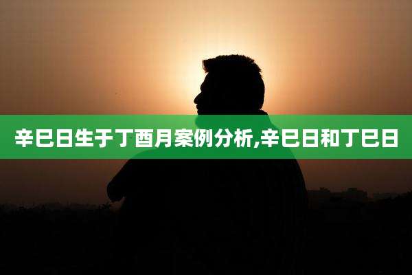 辛巳日生于丁酉月案例分析,辛巳日和丁巳日