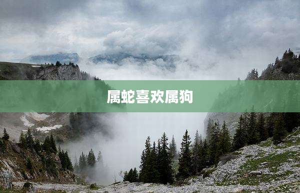 属蛇喜欢属狗