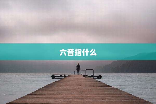 六音指什么