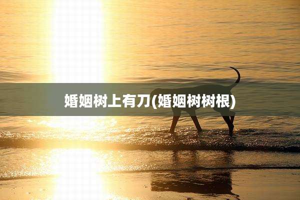 婚姻树上有刀(婚姻树树根)