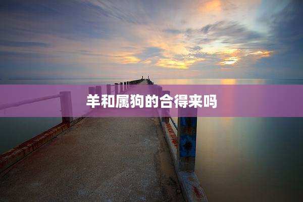 羊和属狗的合得来吗