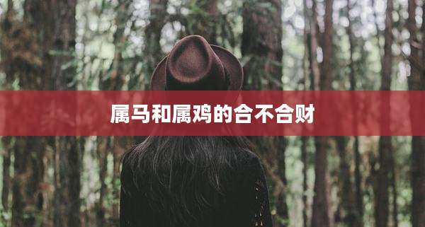 属马和属鸡的合不合财