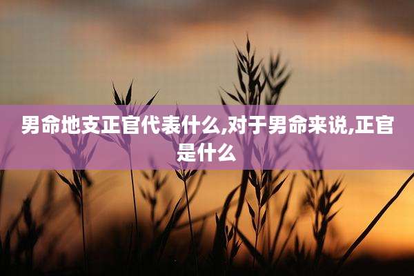 男命地支正官代表什么,对于男命来说,正官是什么