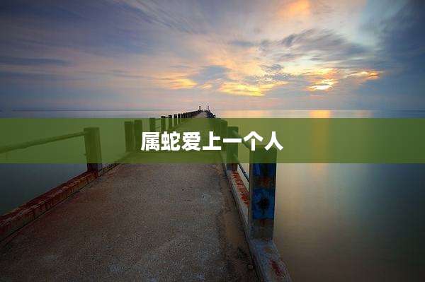 属蛇爱上一个人