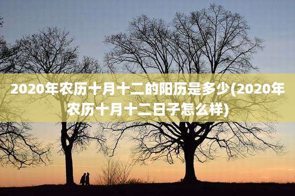 2020年农历十月十二的阳历是多少(2020年农历十月十二日子怎么样)