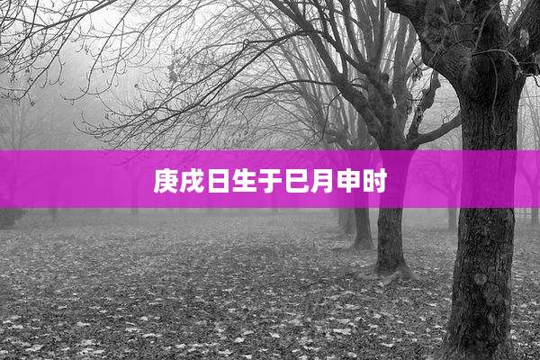 庚戌日生于巳月申时