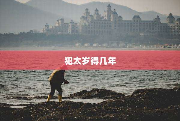 犯太岁得几年