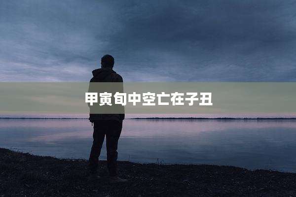 甲寅旬中空亡在子丑