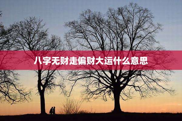八字无财走偏财大运什么意思