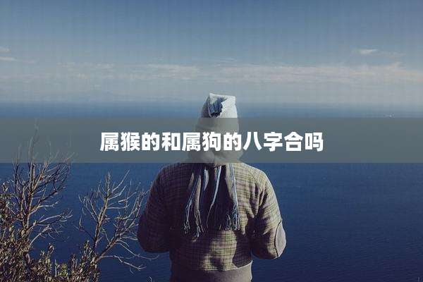 属猴的和属狗的八字合吗
