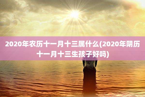 2020年农历十一月十三属什么(2020年阴历十一月十三生孩子好吗)