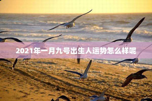 2021年一月九号出生人运势怎么样呢