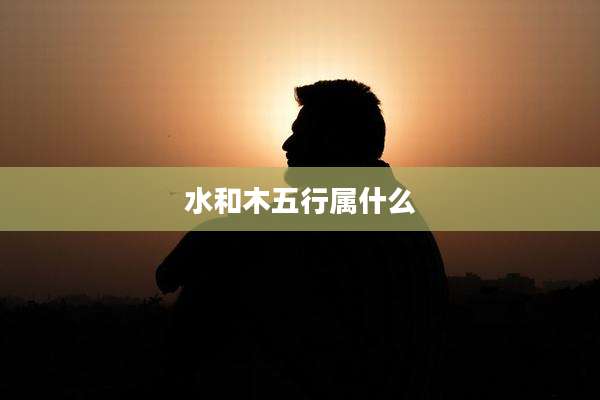 水和木五行属什么