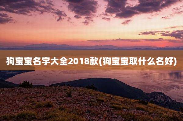 狗宝宝名字大全2018款(狗宝宝取什么名好)