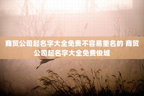 商贸公司起名字大全免费不容易重名的 商贸公司起名字大全免费俊城