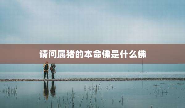 请问属猪的本命佛是什么佛