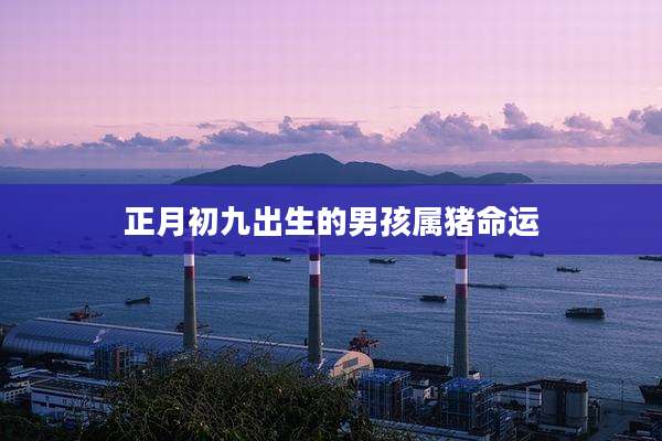 正月初九出生的男孩属猪命运