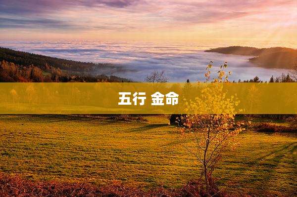 五行 金命