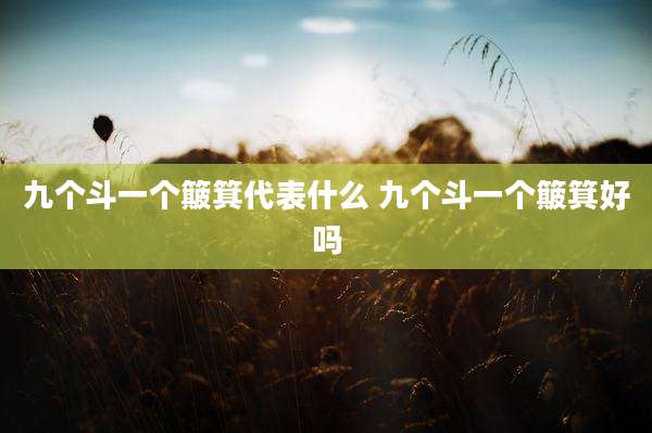 九个斗一个簸箕代表什么 九个斗一个簸箕好吗