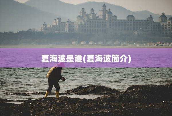 夏海波是谁(夏海波简介)